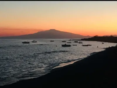 Foto di biodelfico